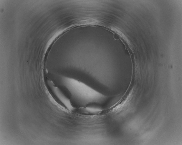 X0000076270941200610051307