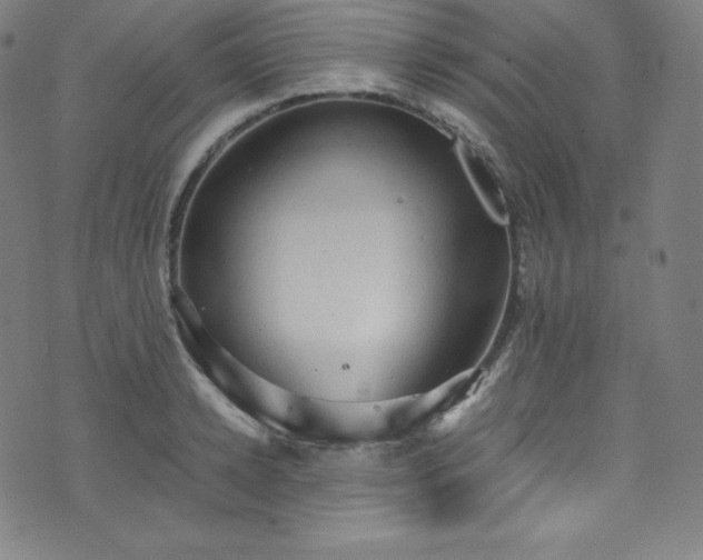 X0000076270942200610051307