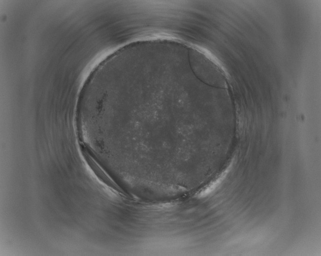 X0000076270943200610051307