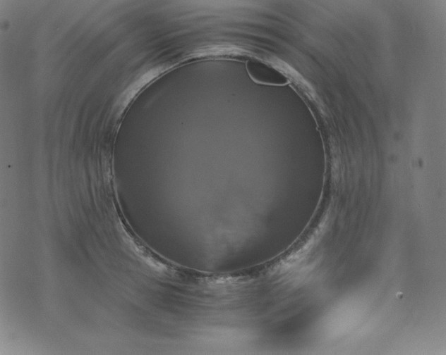 X0000076270945200610051307