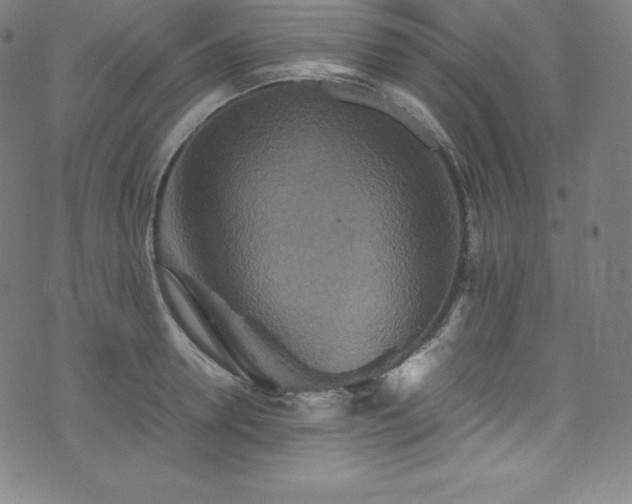 X0000076270946200610051307