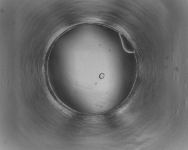 X0000076270947200610051307