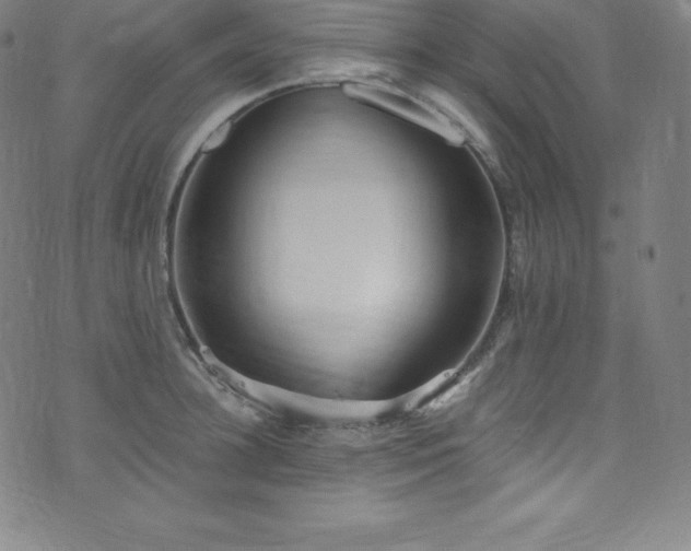 X0000076270948200610051307