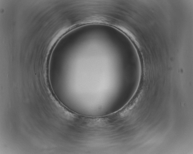 X0000076270949200610051307