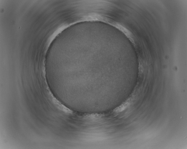 X0000076270950200610051307