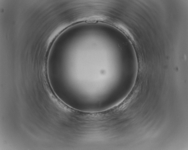 X0000076270952200610051307