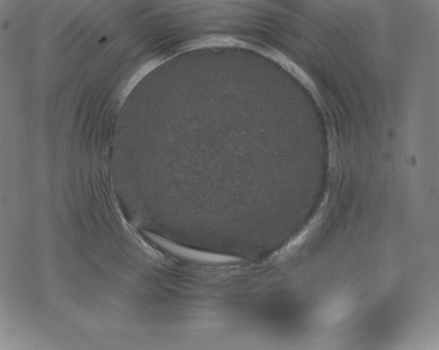 X0000076270953200610051307