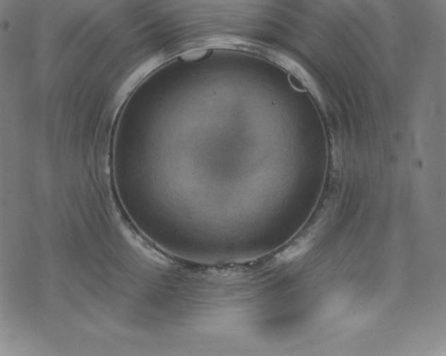 X0000076270954200610051307