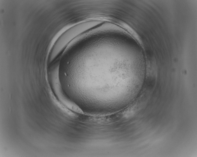 X0000076270955200610051307