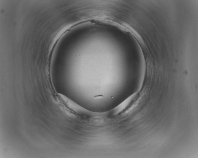 X0000076270956200610051307