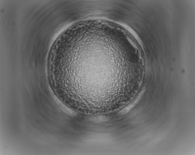 X0000076270957200610051307