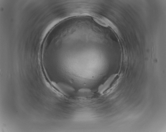 X0000076270958200610051307