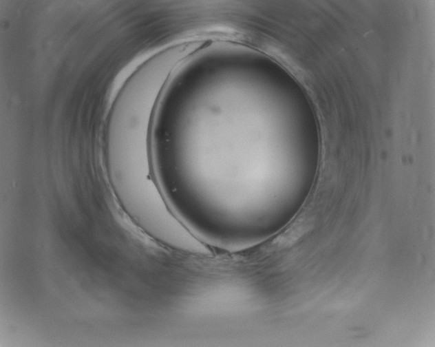 X0000076270960200610051307