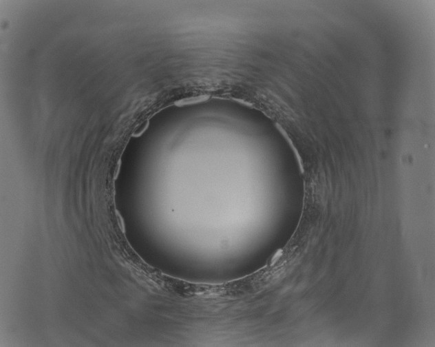 X0000076270961200610051307