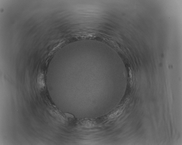 X0000076270962200610051307