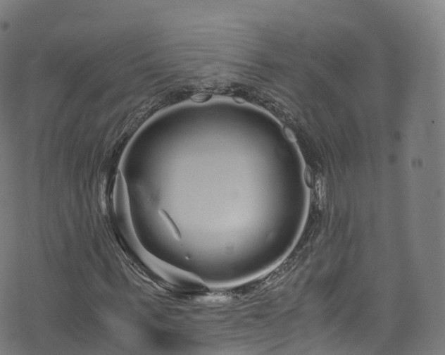 X0000076270963200610051306