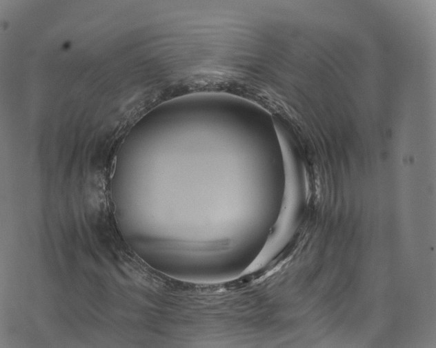 X0000076270964200610051306