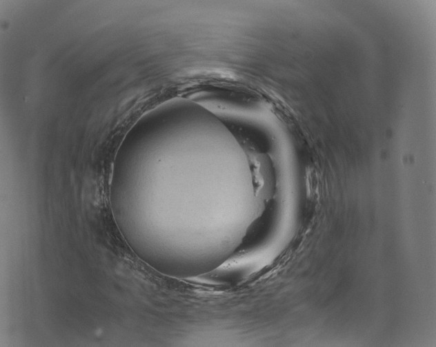 X0000076270965200610051306