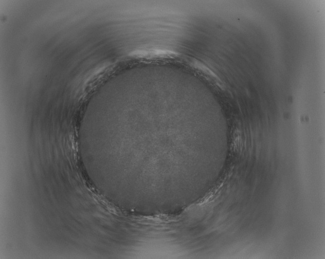 X0000076270966200610051306