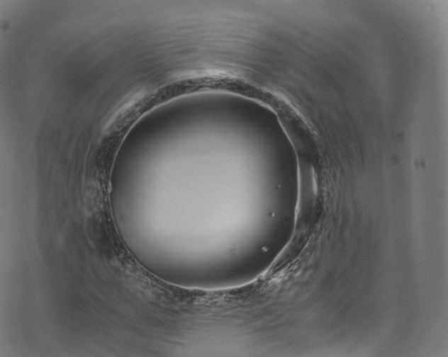 X0000076270967200610051306