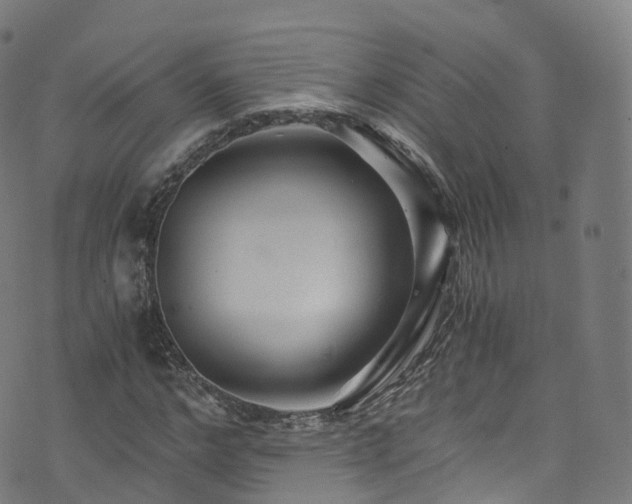 X0000076270968200610051306