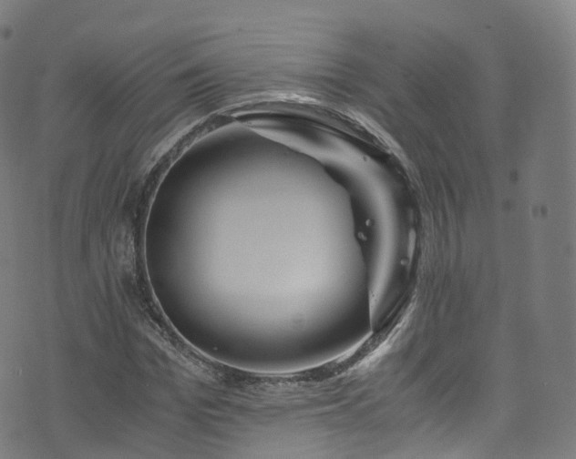 X0000076270969200610051306