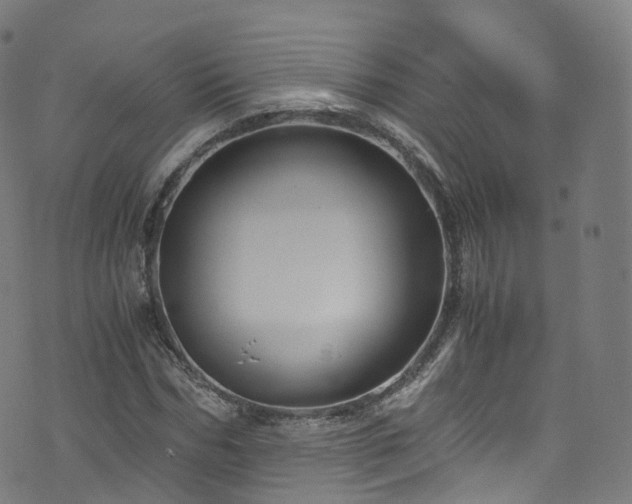 X0000076270970200610051306