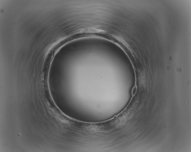 X0000076270971200610051306