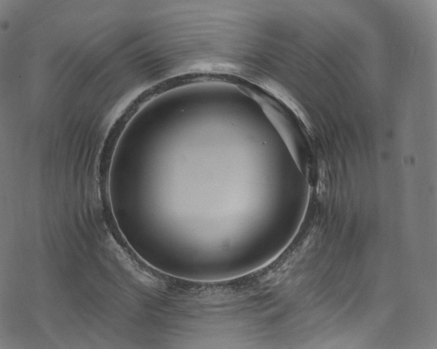 X0000076270972200610051306