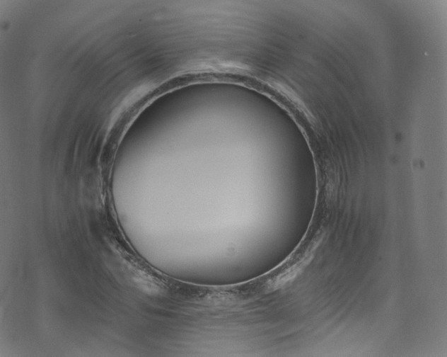 X0000076270974200610051306