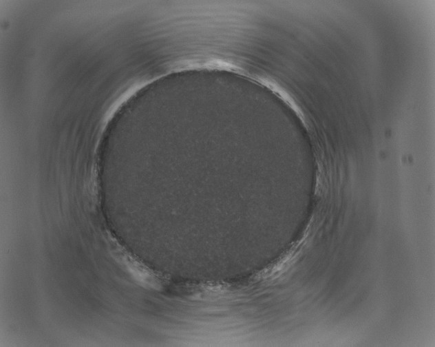 X0000076270975200610051306