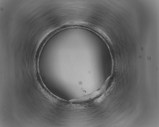 X0000076270976200610051306