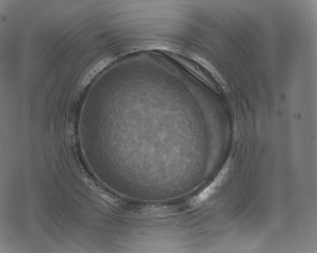 X0000076270977200610051306