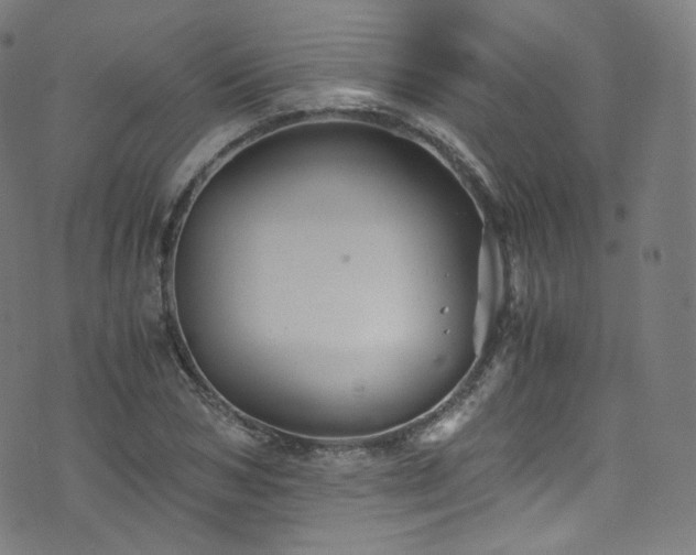 X0000076270978200610051306