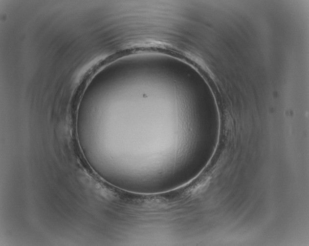 X0000076270979200610051306