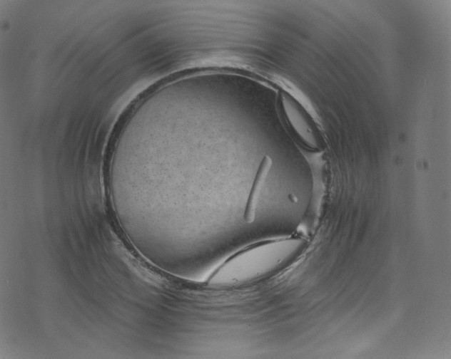 X0000076270980200610051306