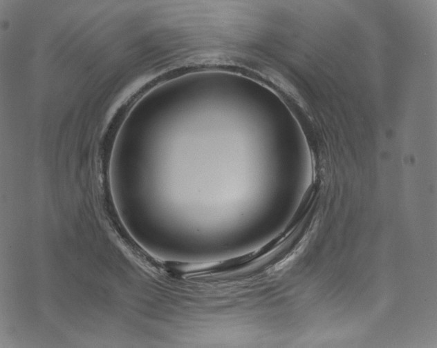 X0000076270981200610051306