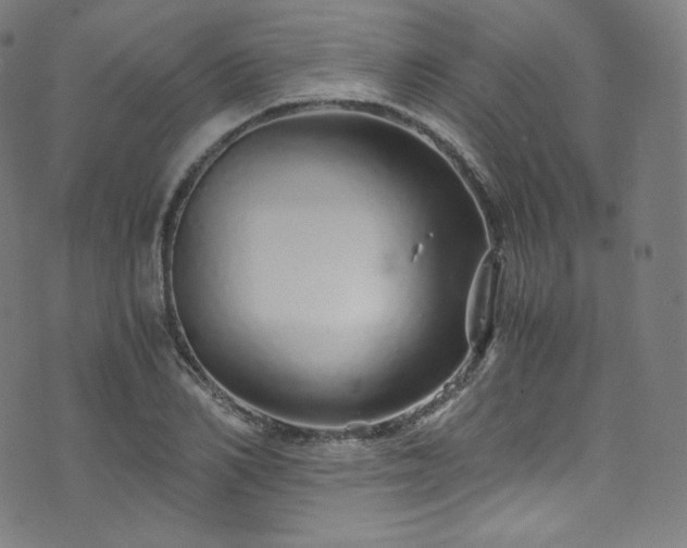 X0000076270982200610051306