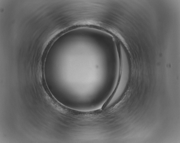 X0000076270984200610051306