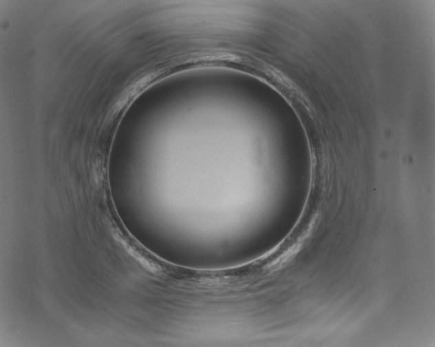 X0000076270985200610051306