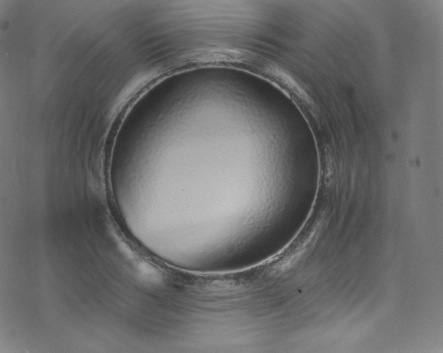 X0000076270986200610051306