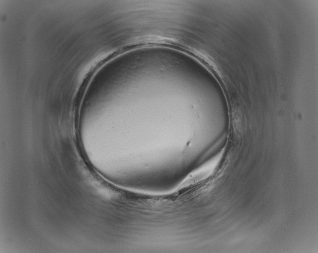 X0000076270987200610051306