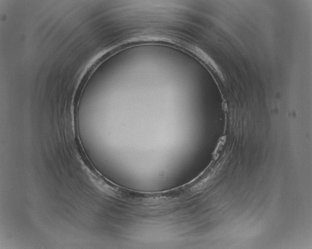 X0000076270988200610051306