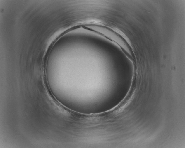 X0000076270989200610051306