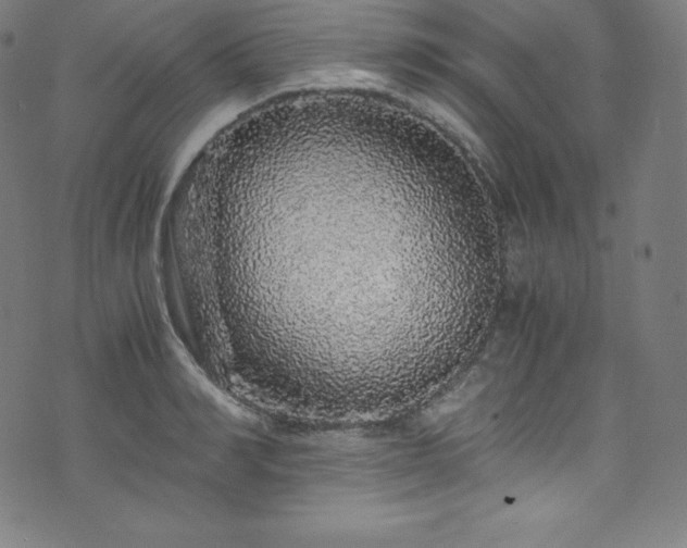 X0000076270990200610051306