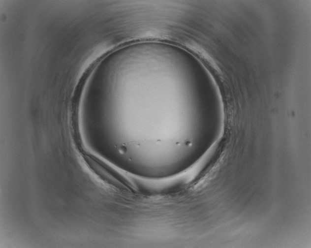 X0000076270991200610051306