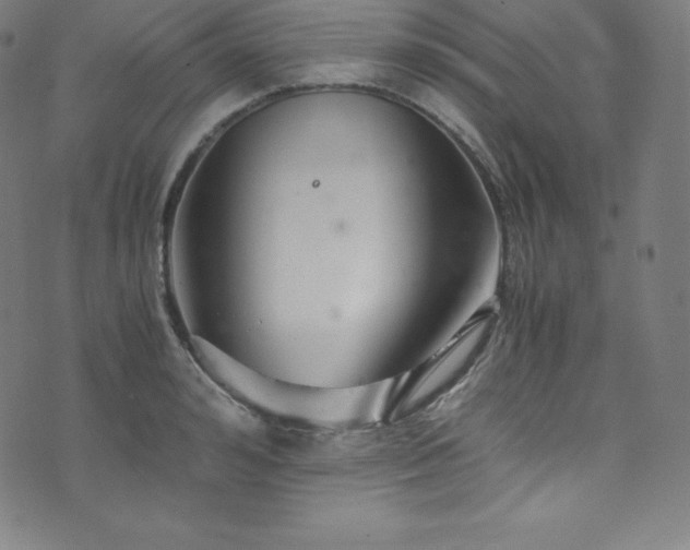 X0000076270992200610051306