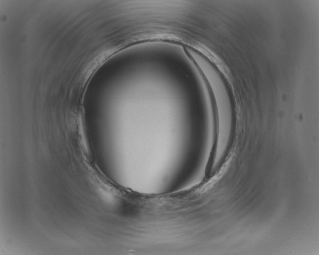 X0000076270993200610051306