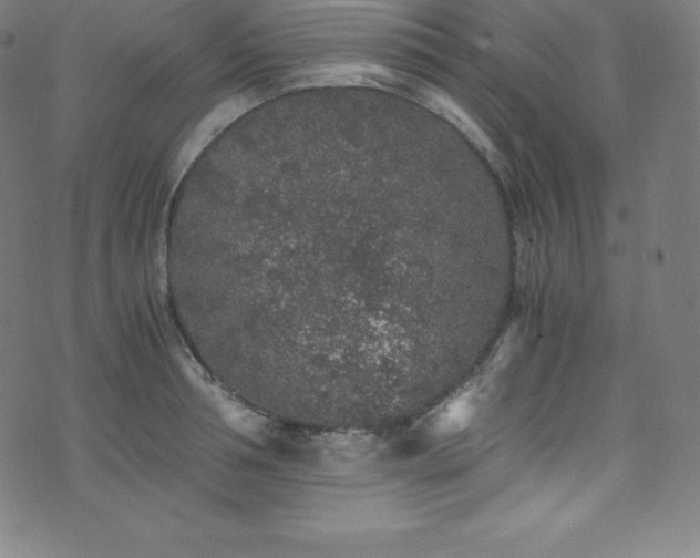 X0000076270994200610051306