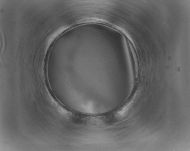 X0000076270995200610051306